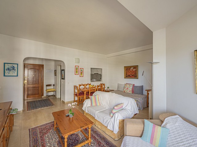 1 Bedrooms Apartment in Marbella