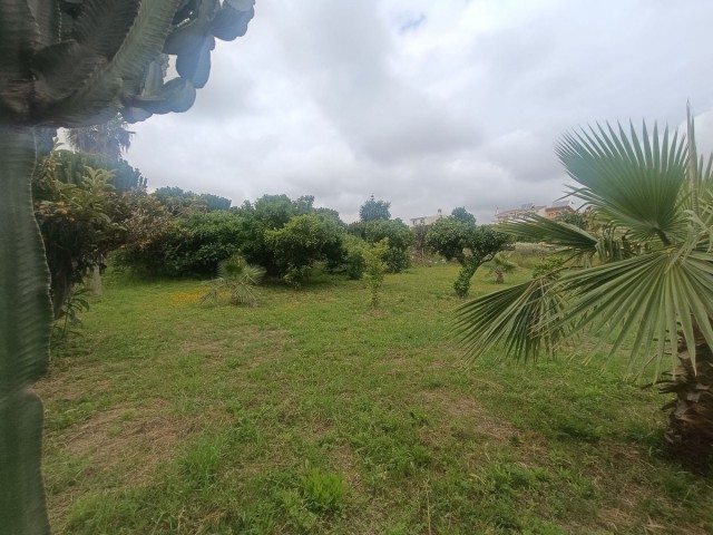  Grundstück in Mijas
