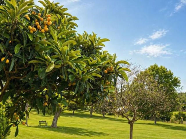 Leilighet, El Paraiso, R5383957