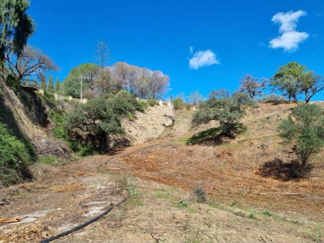  Parcelle à El Madroñal