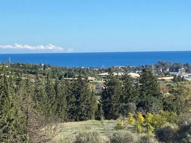 Villa avec 4 Chambres  à Estepona