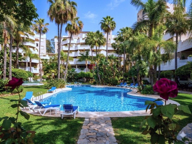Apartment, Aloha