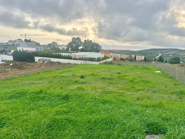  Plot in Valle Romano