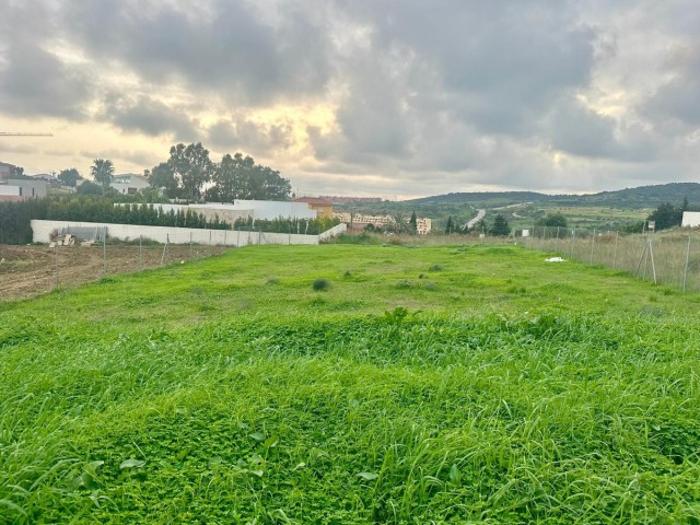  Plot in Valle Romano