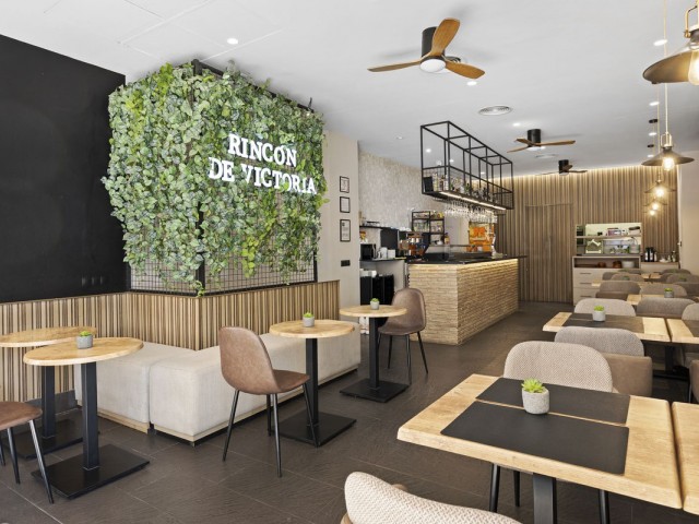 Commercial in Guadalmina Alta