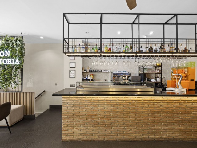 Commercial in Guadalmina Alta