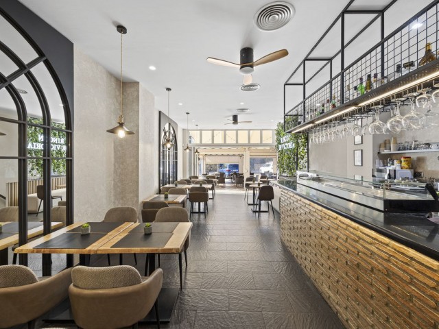 Commercial in Guadalmina Alta