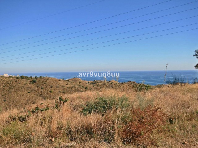 Parcelle Torreblanca - R3049675