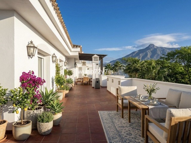 Penthouse, Nueva Andalucia