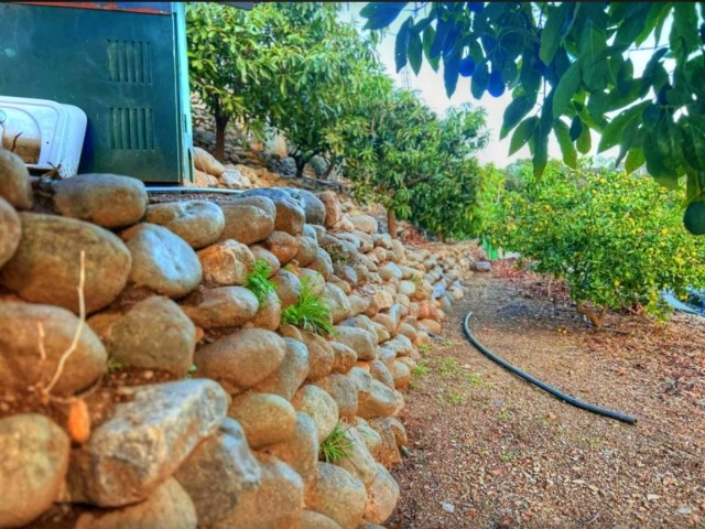 Villa avec 4 Chambres  à Estepona