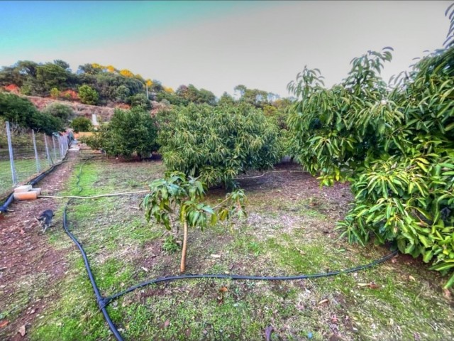 Villa avec 4 Chambres  à Estepona