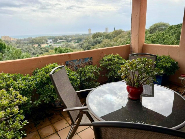 2 Bedrooms Apartment in Elviria