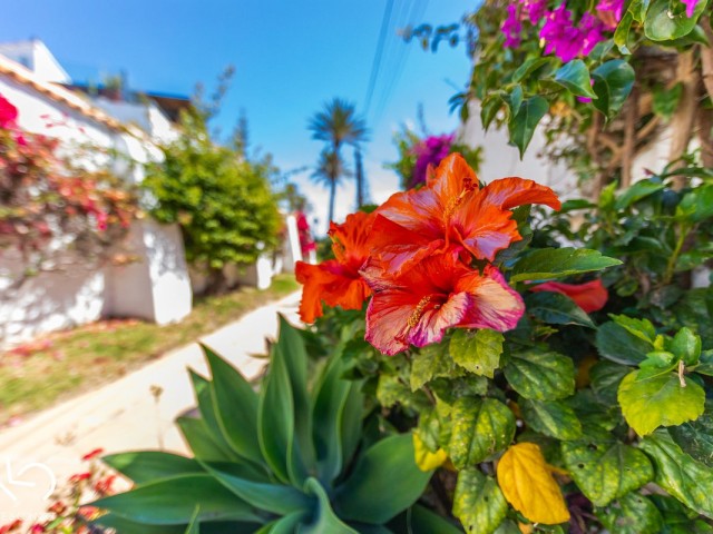 Villa con 3 Dormitorios  en Estepona
