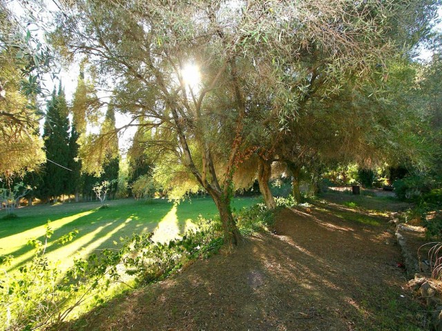  Plot in Mijas