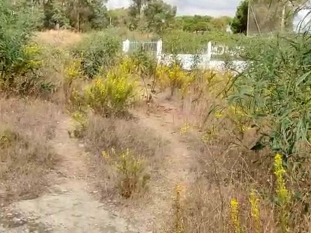  Grundstück in La Cala Golf