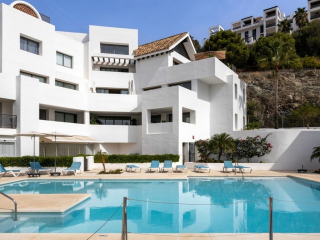 Penthouse in Los Flamingos