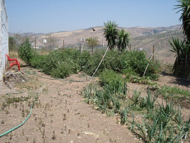Næringseiendom i Valle de Abdalajis