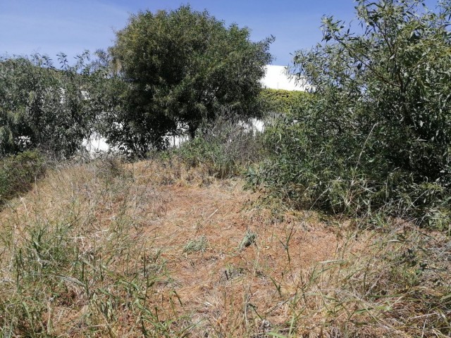 Grundstück, San Roque, R4293274