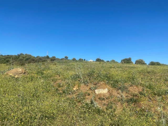 Grundstück, Valle Romano, R4304128