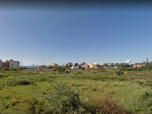  Plot in Selwo