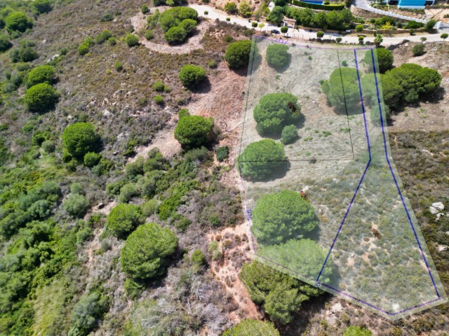  Terreno en Sotogrande Alto