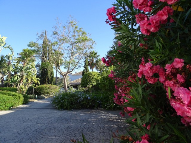 4 Bedrooms Villa in Sotogrande Alto