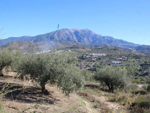  Plot in La Viñuela